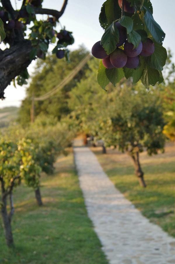 La Teggia Appartement Monte San Pietro Buitenkant foto